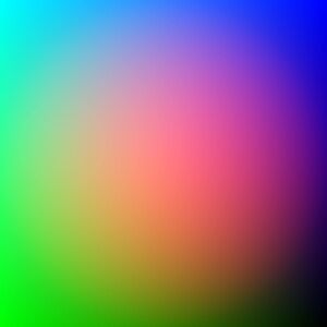 Meet your Posher, Mikky.